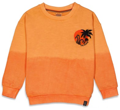 Sweater in Neon Orange mit Farbverlauf &amp; Palmen Stick für Boys von STURDY 0469