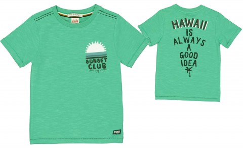 Lässiges T-Shirt in Mint Grün mit Rückenprint für Boys von STURDY &quot;Indigo Island&quot; 0344